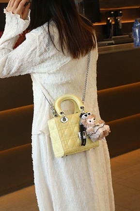 Mini Purse Chain - CLAREGQI Women Acrylic Handle Mini Handbag